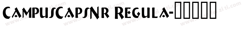 CampusCapsNr Regula字体转换